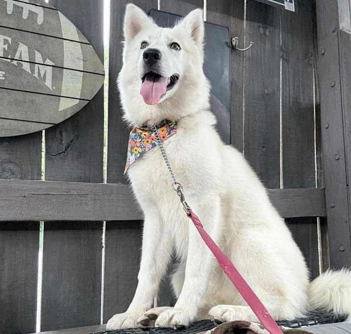 Photo of Rori