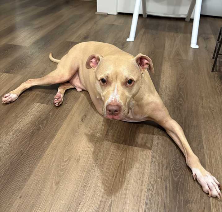 Photo of Sammy