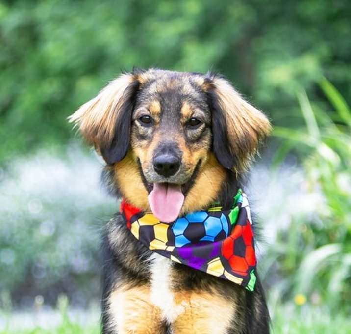Photo of Coby