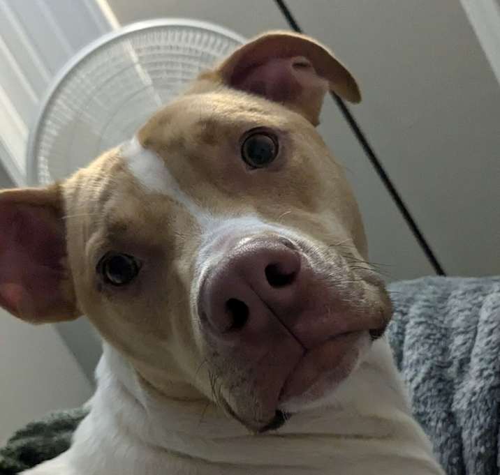 Photo of Atlas