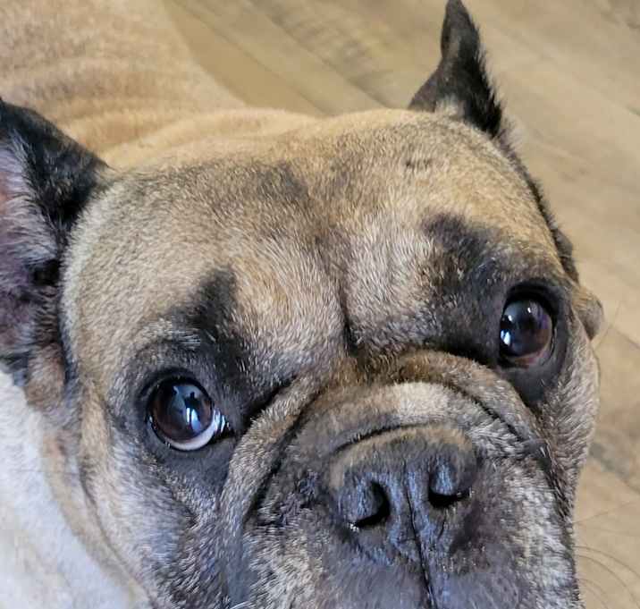 Photo of Hunkie Dorie