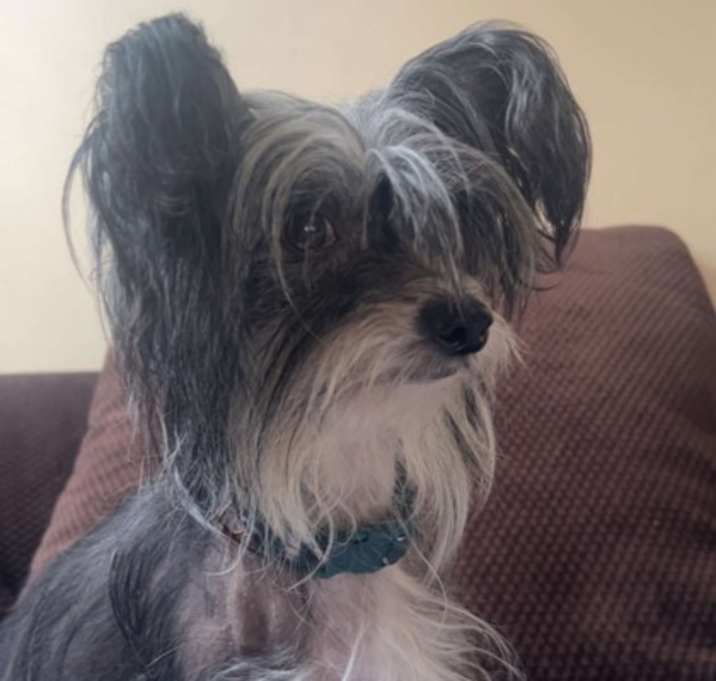 Photo of Zephra