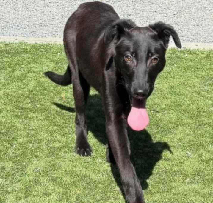 Photo of OLIVE