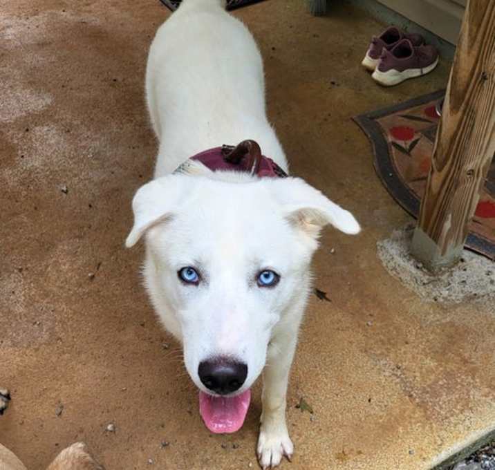 Photo of Elsa