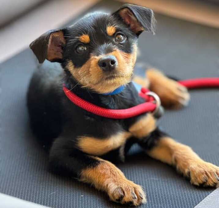Photo of Parker