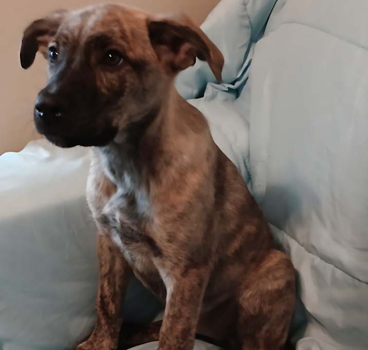 Photo of Winnie