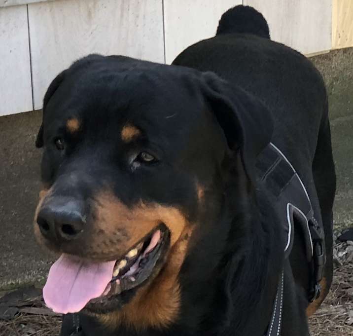 Photo of Max