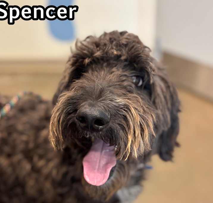 Photo of Spencer