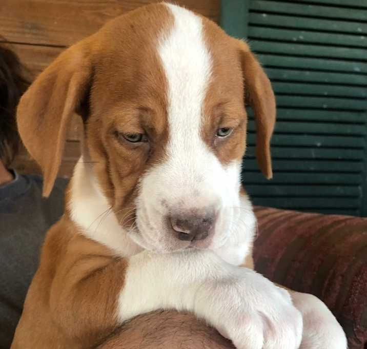 Photo of Ezzy Mamma-Zeke