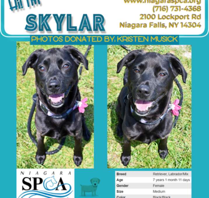 Photo of Skylar