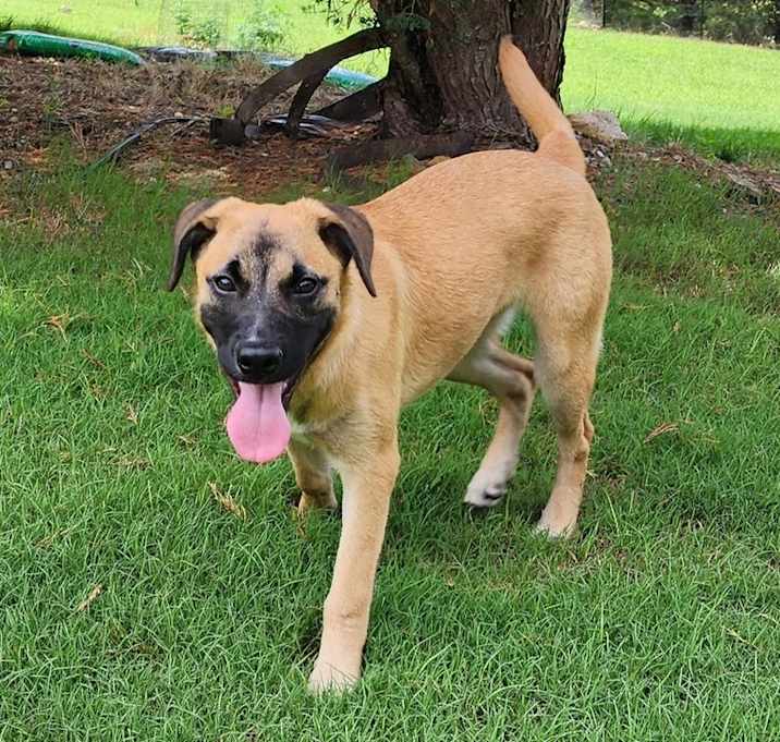 Photo of Lila the Lovely