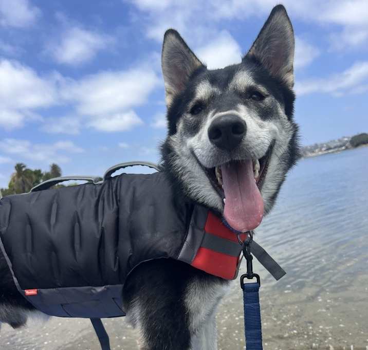 Photo of Silver
