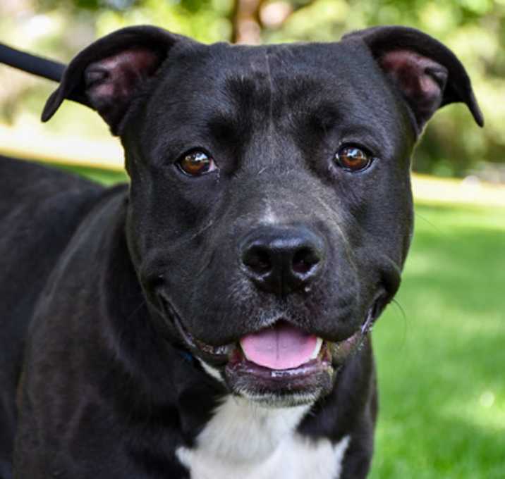 Photo of Tank