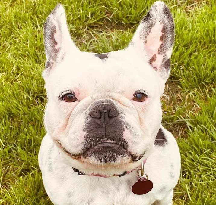 Photo of Suki