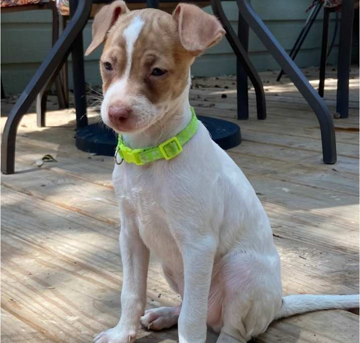 Photo of Jack