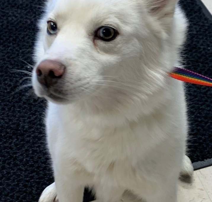 Photo of Snow White aka Kari