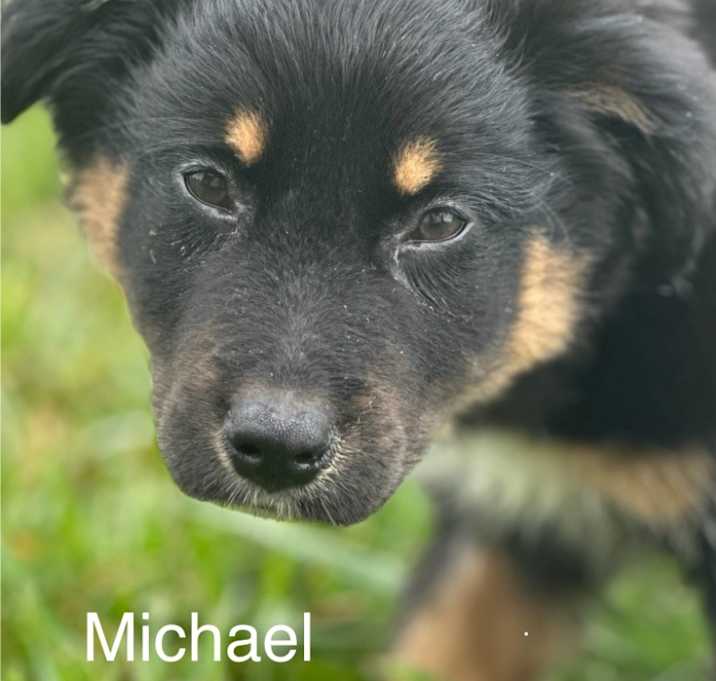 Photo of Michael