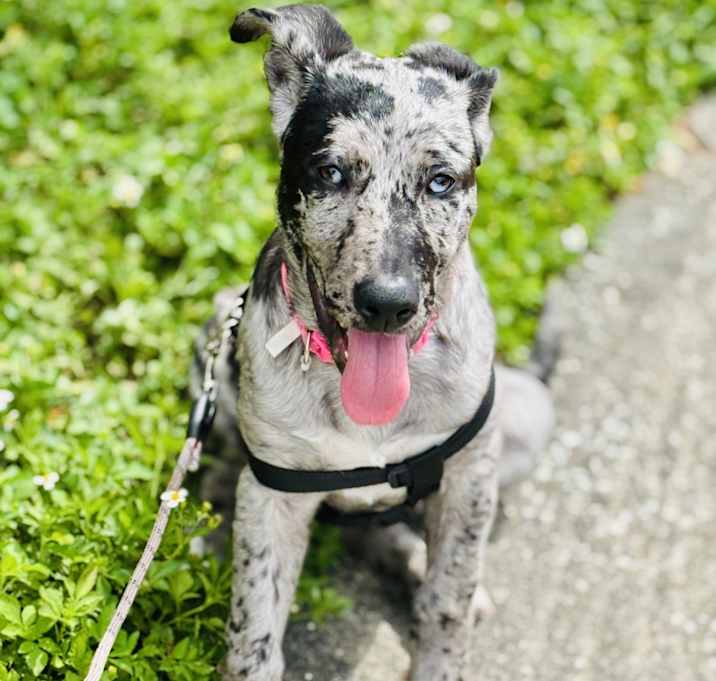 Photo of Zara