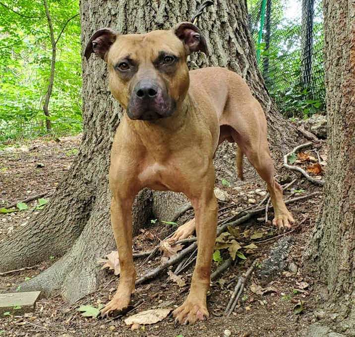 Photo of Aries