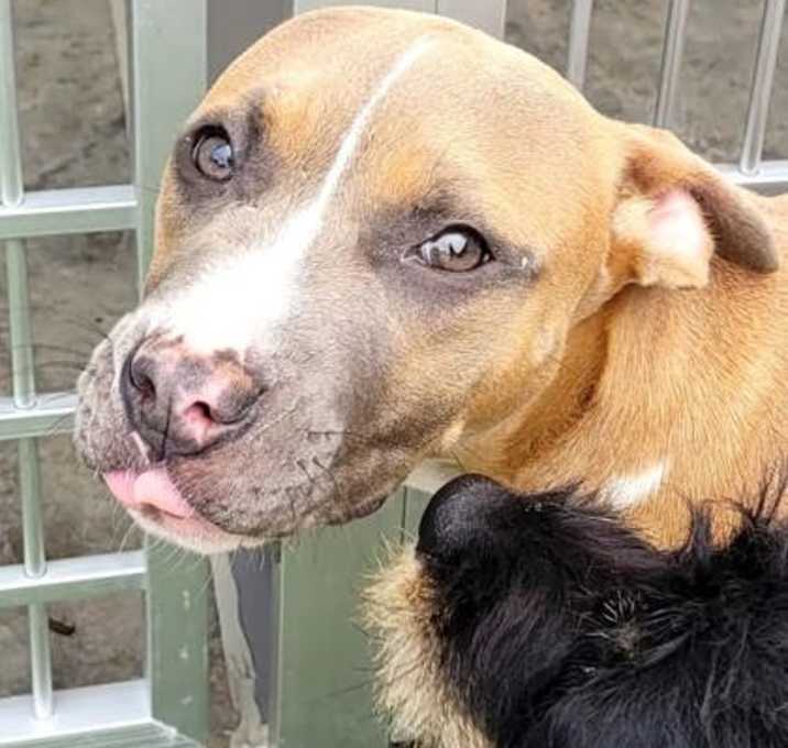 Photo of Chula