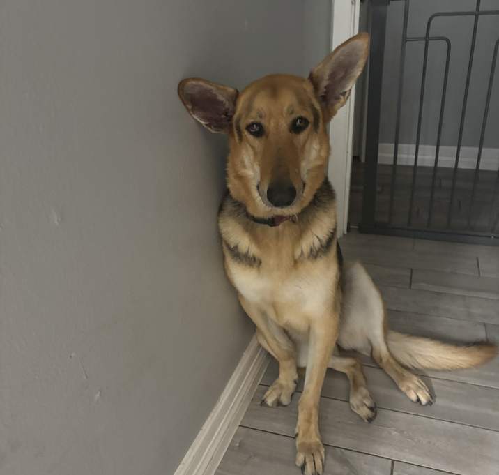 Photo of Sasha