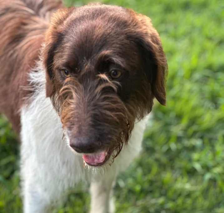 Photo of WILLOW