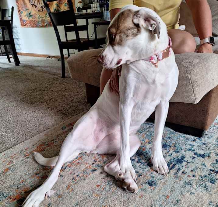 Photo of Lilah