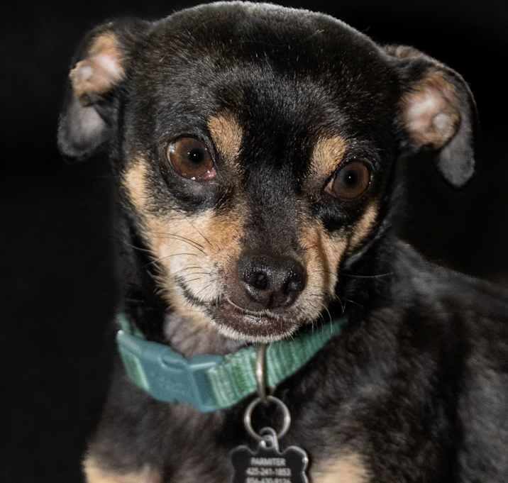 Photo of Reese