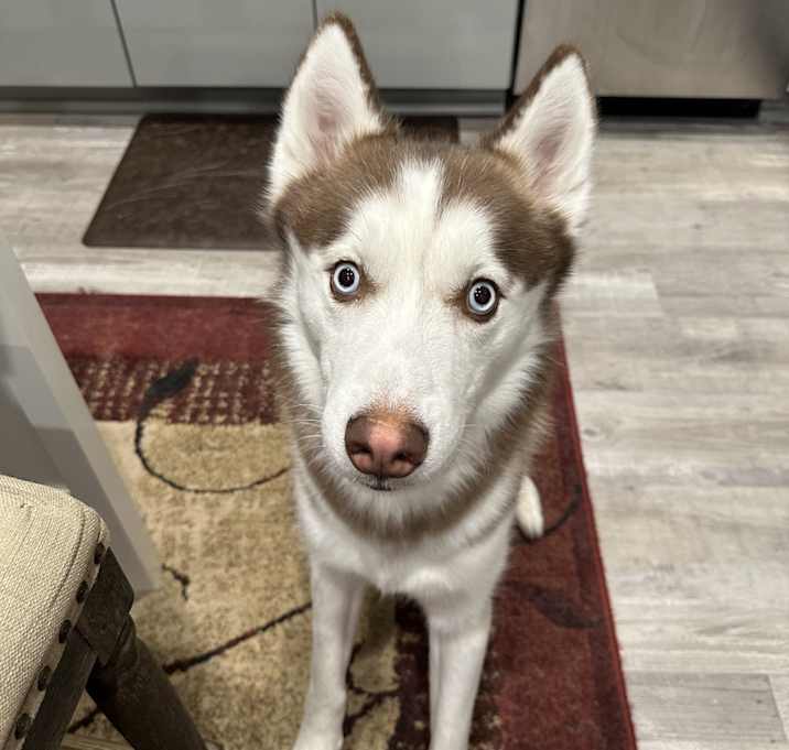 Photo of Kai