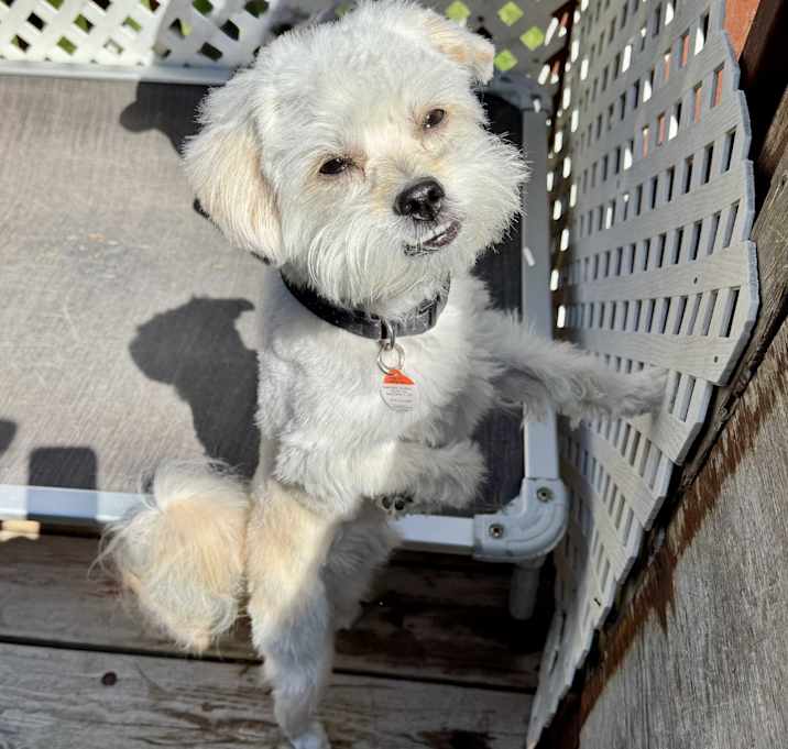 Photo of Reggie