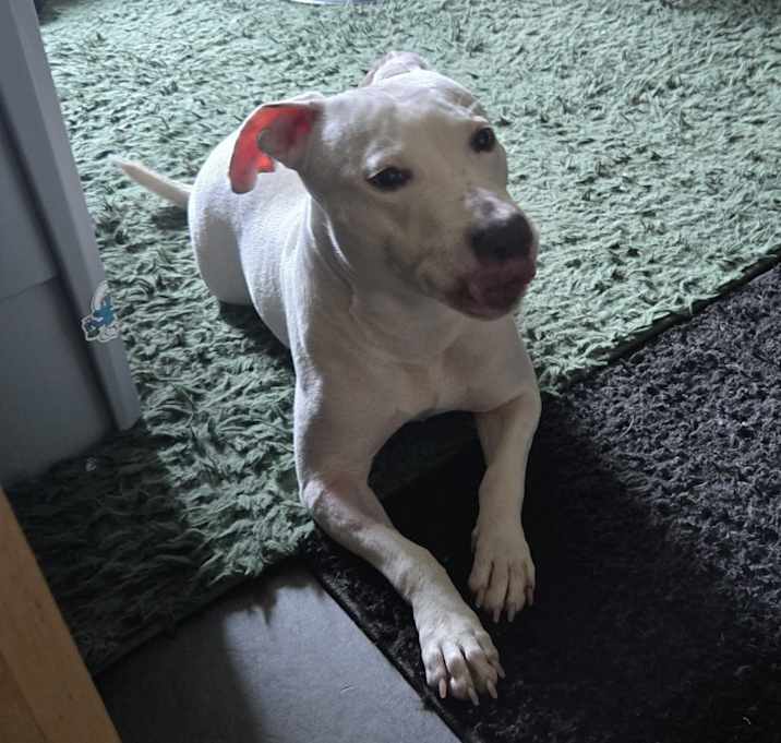 Photo of LuLu