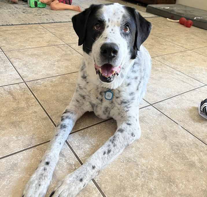 Photo of Waffles