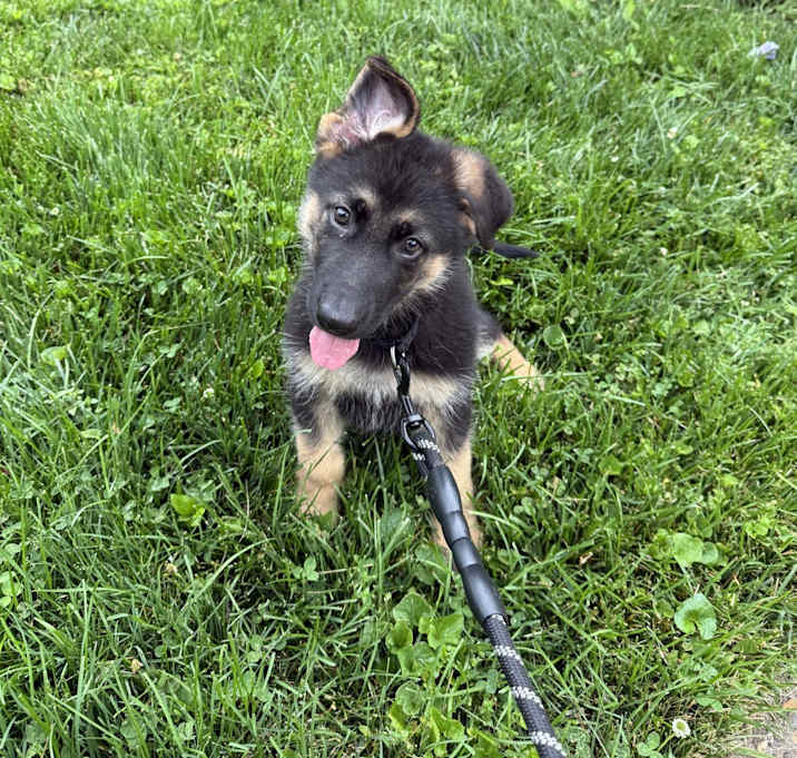 Photo of knox