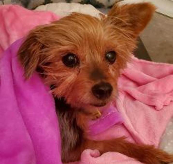 Photo of Gina