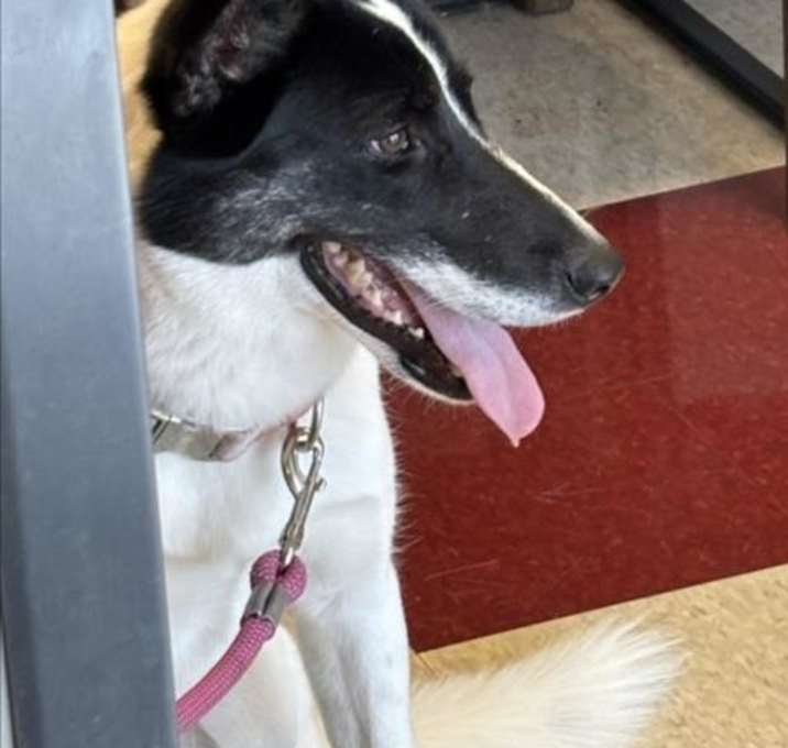 Photo of ATHENA