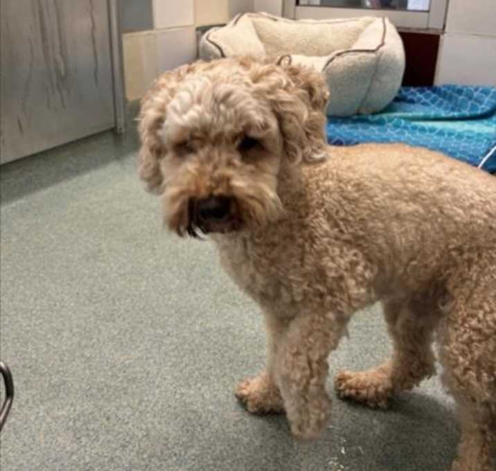 Photo of MILO