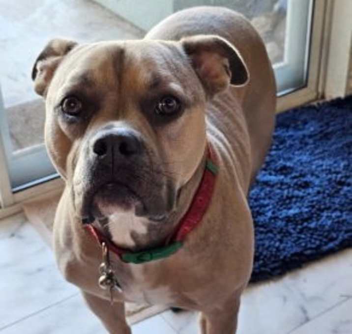 Photo of Sadie