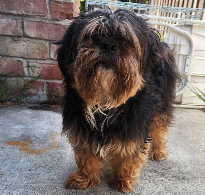 Photo of Cash