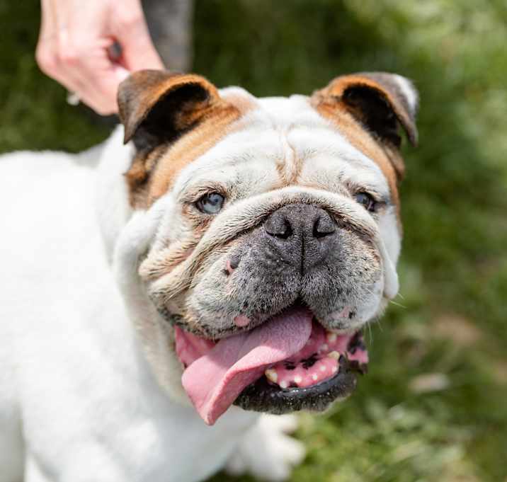 Photo of Baily