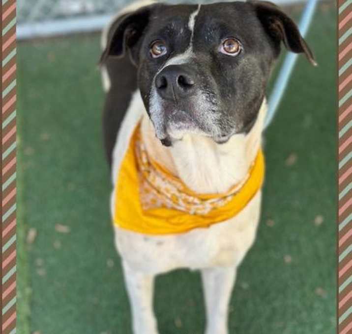 Photo of McDuff(810)