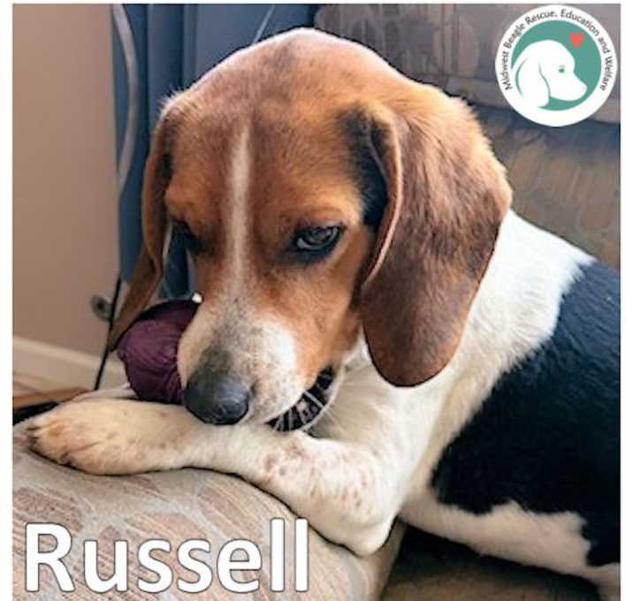 Photo of RUSSELL