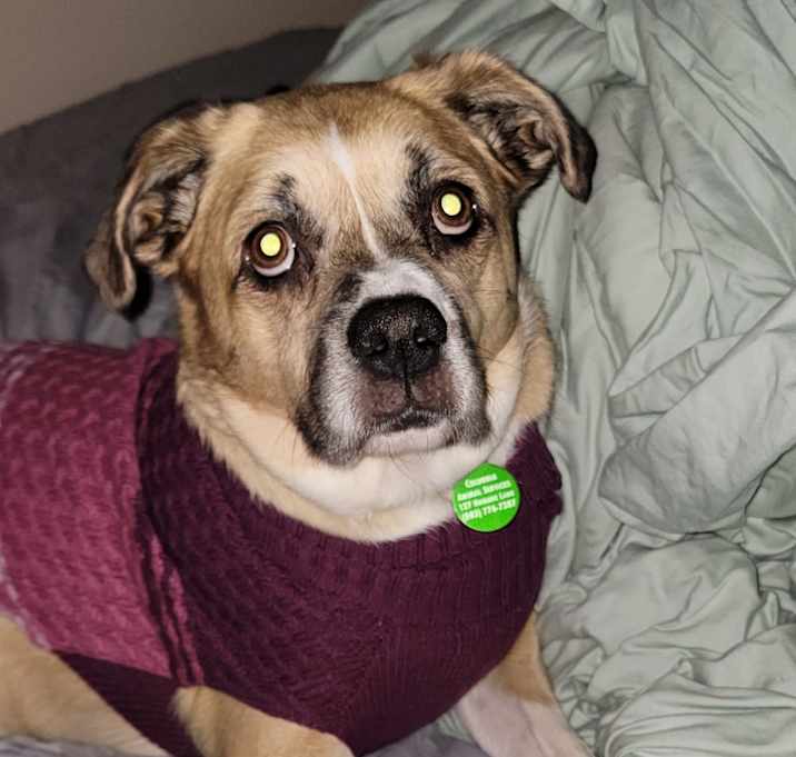 Photo of Tilly