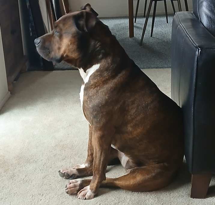 Photo of Athena