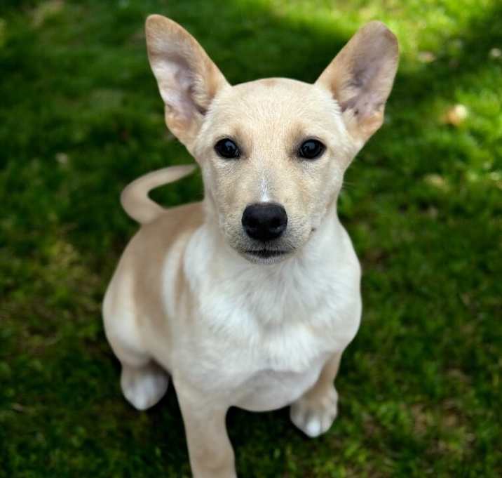 Photo of Niner
