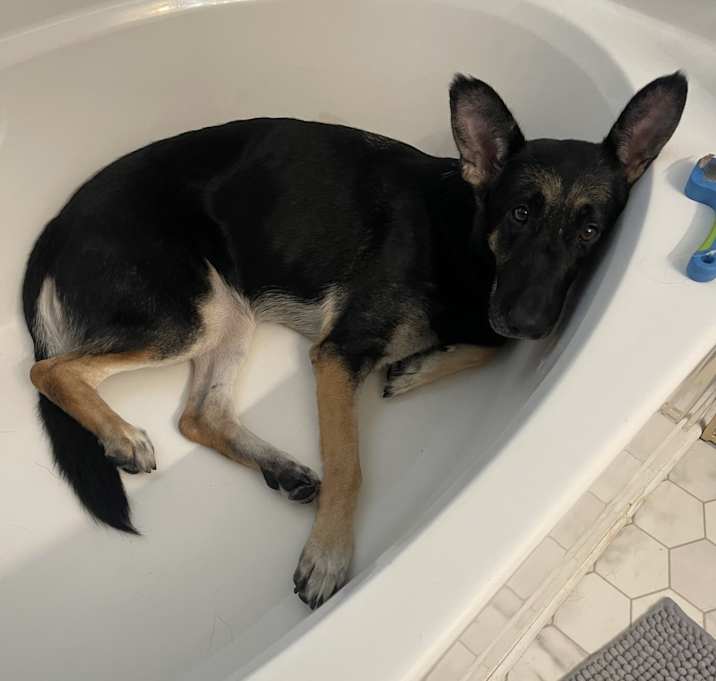 Photo of Moochie