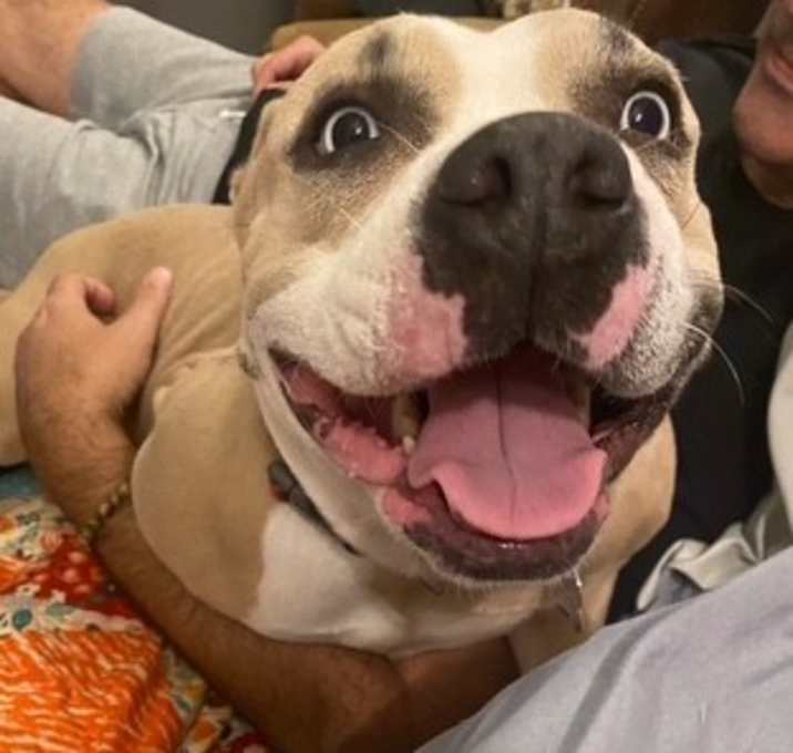 Photo of Pippa