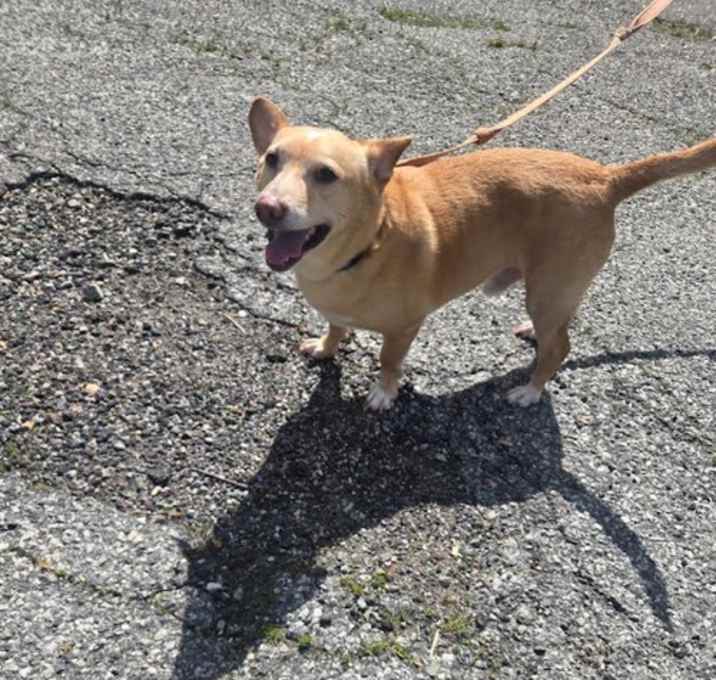 Photo of Spike in RI