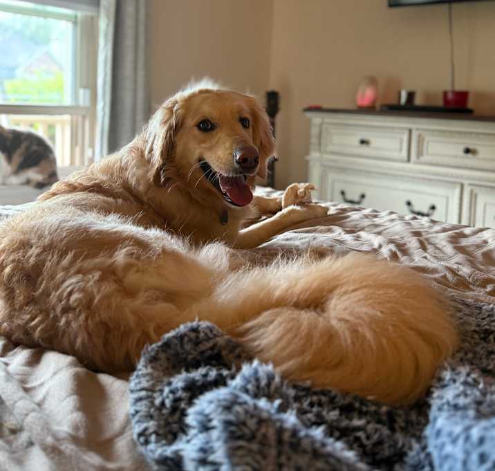 Photo of Murphy