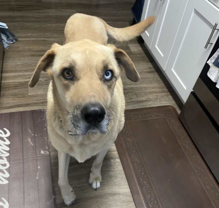 Photo of Handsome