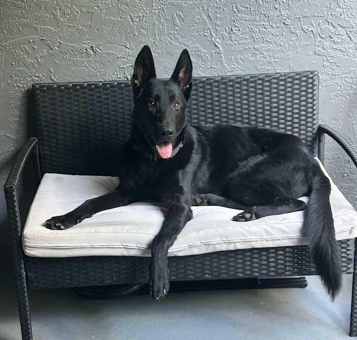 Photo of Oakley